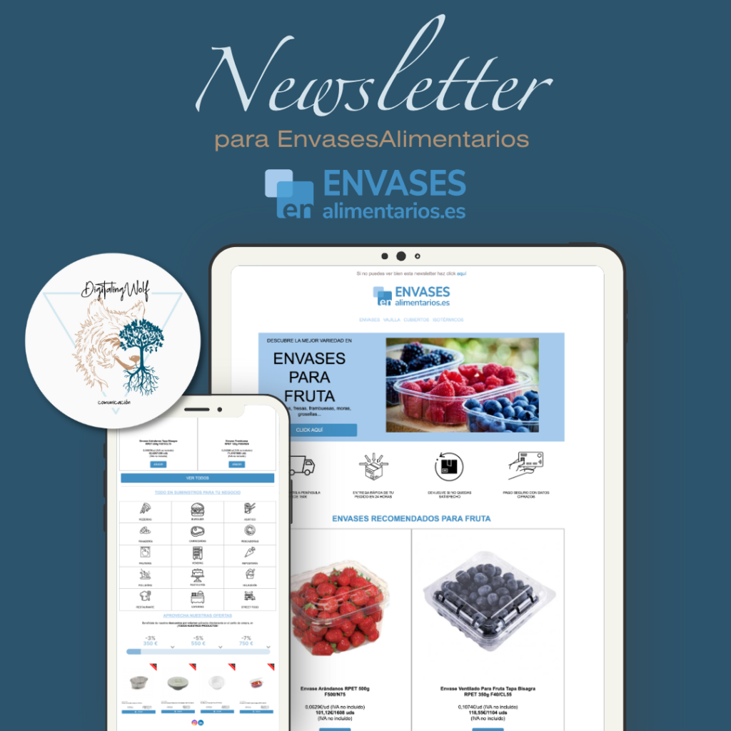 DISEÑO NEWSLETTER